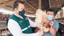 FAO apoya a autoridades para hacerle frente a la gripe aviar  