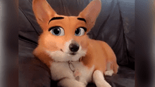 Snapchat: conoce el divertido filtro para perros que los convierte en personajes de Disney [FOTOS]