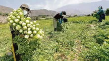 Sector agrario cerró un año catastrófico y espera mayor atención en 2023