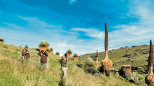 La Libertad: caza e invasión persisten en reserva de Calipuy