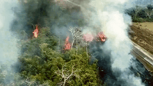Incendio en la Amazonía: Pedidos de ayuda y protestas en Madre de Dios y Lima
