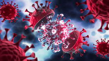 Inteligencia artificial logra predecir mutaciones del coronavirus SARS-CoV-2