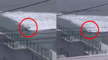 Captan a hombre surfeando olas en las playas de San Bartolo pese a la cuarentena [VIDEO]