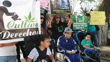 En Perú 80 pacientes se tratan con aceite de marihuana