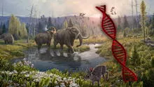 ADN de hace 2 millones de años devela un paraíso perdido en el Ártico