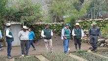 Arequipa: Plantaron 2000 queñales para mejorar la calidad de vida de varias comunidades