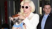 Lady Gaga: hombre que disparó al paseador de sus perros fue condenado a 21 años