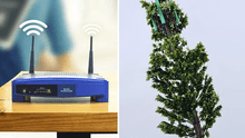 MTC sobre antenas ‘tipo árbol': “Son más modernas y amigables con el paisaje” 
