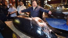 Hombre en Japón paga más de 3 millones de dólares por un atún gigante