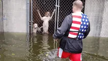 EE.UU.: el conmovedor rescate de perros encerrados durante huracán Florence