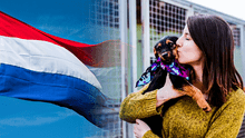 ¿Cómo Países Bajos se convirtió en la primera nación sin perros callejeros? 