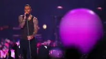 Viña 2020: Maroon 5 exigen no recibir gaviotas en el escenario y hacer show continuo
