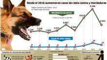 Muerte de paciente con rabia alerta sobre propagación del virus