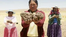 Campos de cultivo se secan en Puno