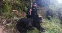 Indignación en Puno por sujeto que cazó a oso de anteojos y posó con su cuerpo  