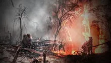 ‘’El hombre provoca el 99% de los incendios forestales, no son actos de Dios’’: consecuencias de los siniestros en Brasil y Australia