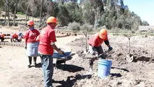 San Martín: Crean más de mil empleos temporales para pobladores pobres