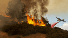 Intentó eliminar nido de avispas y provocó el incendio forestal más devastador de California