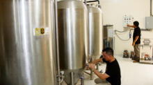 Producen primera cerveza artesanal con algarroba