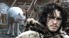 Game of Thrones 8x05: No había presupuesto para que Jon abrace a Ghost