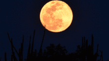 Luna rosa 2020: así se vio en México el fenómeno astronómico durante su primera noche [FOTOS]