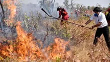 Cinco incendios incontrolables preocupan a autoridades de Bolivia por peligrosas consecuencias