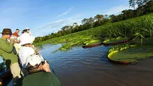Allpahuayo  Mishana, el santuario de la biodiversidad selvática