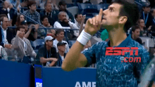Djokovic perdió los papeles e insultó a la grada de Del Potro en la final del US Open [VIDEO]