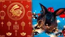 ¿Qué significa el año del conejo negro, símbolo del 2023 en el horóscopo chino?