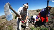 Un año aciago en el campo