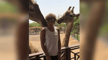 Facebook: David Luiz se acercó a unas jirafas y casi se comen su cabello [VIDEO]
