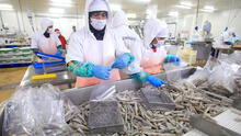 Pejerrey y concha de abanico volverán a ser exportados al mercado chino