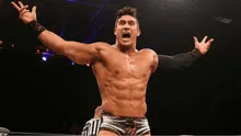 WWE: Conoce a los nuevos luchadores que buscarán romperla en el 2019 [FOTOS Y VIDEO]