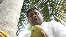 Ministro de Sri Lanka ofrece una rueda de prensa subido a una palmera [VIDEO]