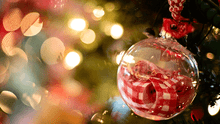 Decoraciones de Navidad: cuatro sencillos pasos para adornar tu hogar de forma distinta 