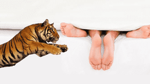 Salto del tigre: ¿de qué trata esta fantasía sexual y es realmente posible realizarla?