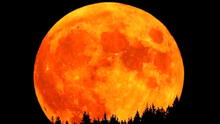 Luna de Cosecha, el fenómeno astronómico de hoy que no se manifestará hasta el 2049