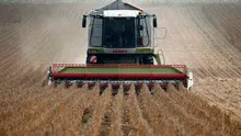 Argentina, primer país del mundo en autorizar el trigo transgénico para consumo humano