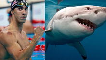 Michael Phelps nadará contra un tiburón blanco