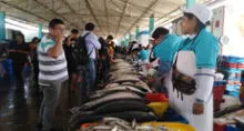 Mercado mayorista de Tacna ofrece 40 toneladas de pescado