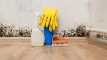 Limpieza en el hogar: ¿cómo quitar el moho de las paredes de manera efectiva?
