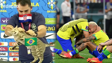 La ‘maldición del gato’: usuarios recuerdan momento curioso tras derrota de Brasil