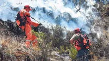 Bomberos forestales en alerta para evitar nuevos incendios