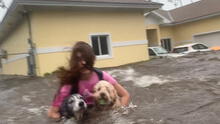 Heroico rescate de dos perros atrapados en medio del Huracán Dorian [VIDEO] 
