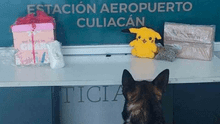 Peluche de Pikachu relleno de marihuana es decomisado en aeropuerto mexicano 