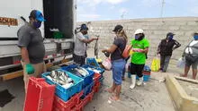 Toque de queda: Autoridades repartieron 8 toneladas de tiburón azul a familias pobres en Moquegua  