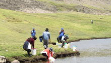 Huancavelica: Repueblan laguna Chancahuasi y río Aurahuá con 111 millares de alevinos