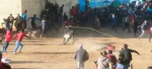 Huancavelica: 5 personas quedan heridas tras cornada de toro durante fiesta costumbrista