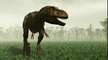 Scotty, el Tiranosaurio Rex más grande del mundo, fue hallado en Canadá [FOTOS]