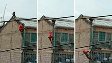 Kenia: hombre cae desde un cuarto piso al tratar de escapar del ataque de un babuino [VIDEO]